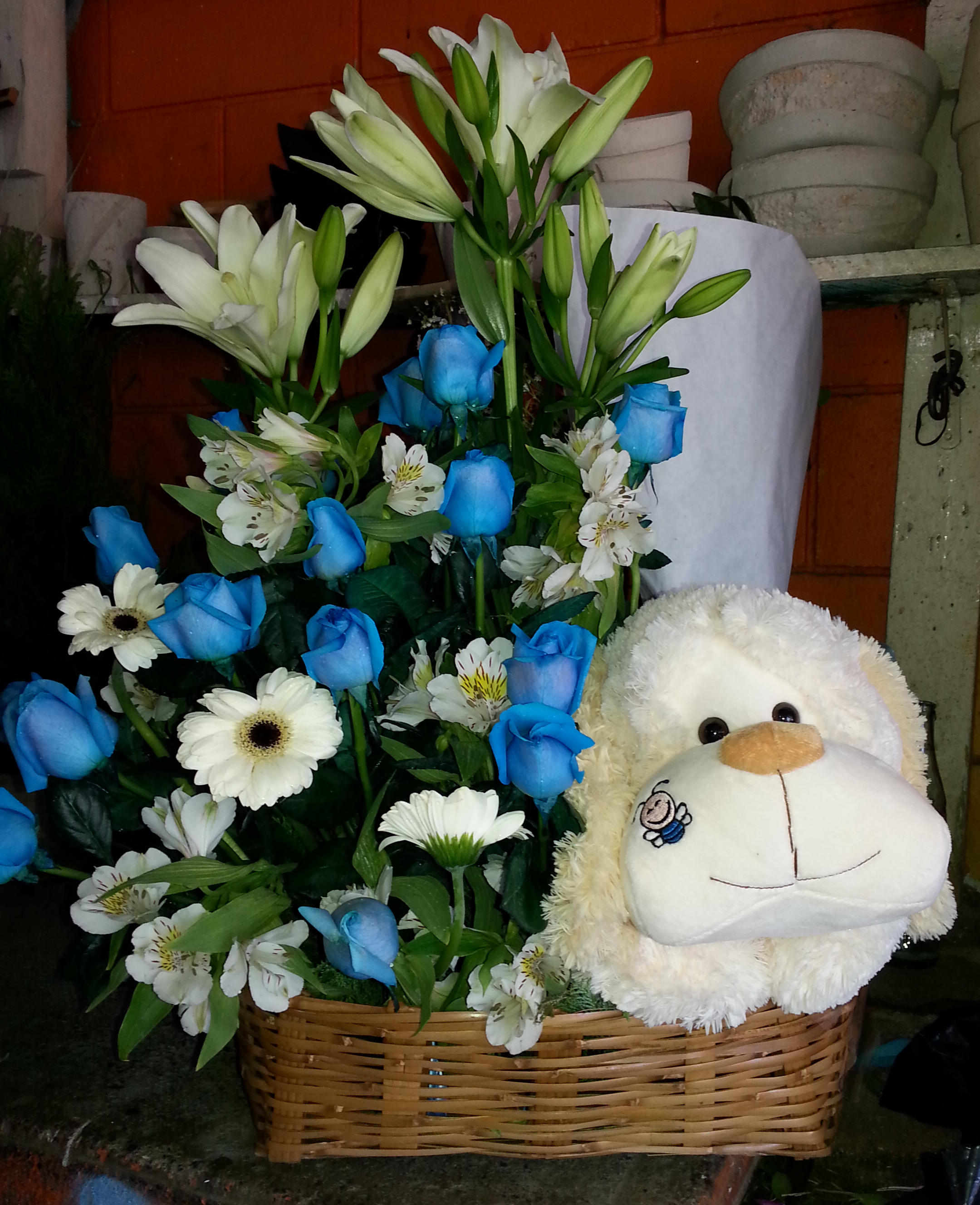 Arreglos rosas azules con peluche grande y globo en canasta de mimbre