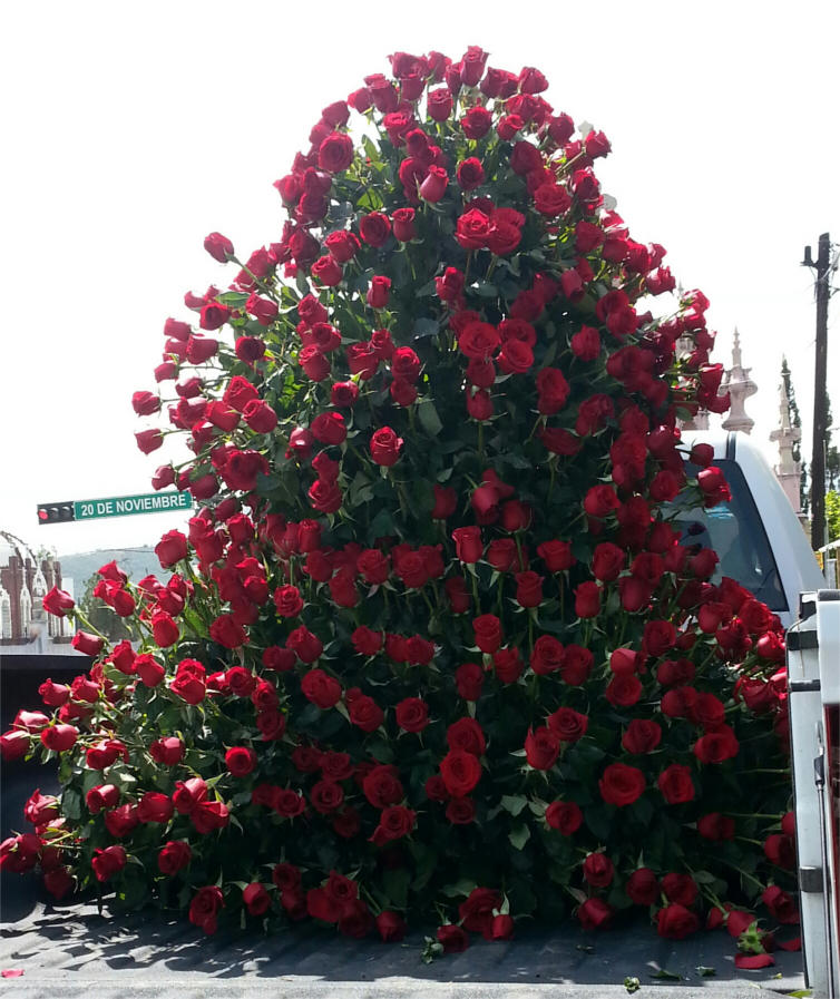 Arreglo 1000 rosas rojas